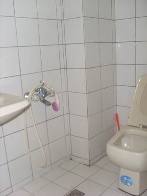 Ӥ